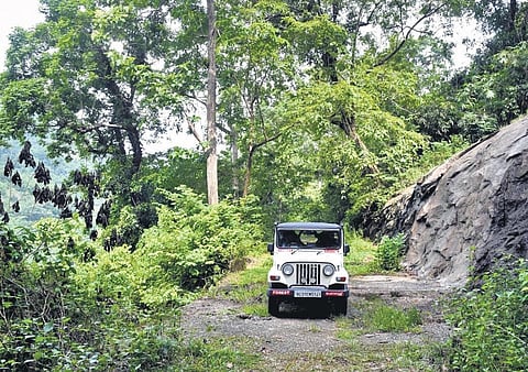 (Representational photo) A forest department jeep. (Photo| Albin Mathew)