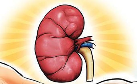 Nephrologists point to rising paediatric cases