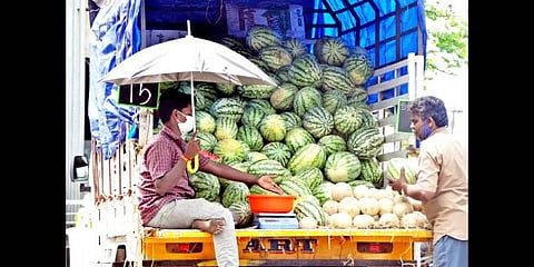 Salem watermelon traders high and dry as sales stagnate