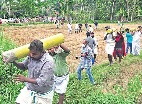 Ward number 6 at Kidangayam in Chottanikkara saw fierce standoff between protestors and K-Rail officials with the former pulling out survey stones and throwing them into a nearby pond | A Sanesh