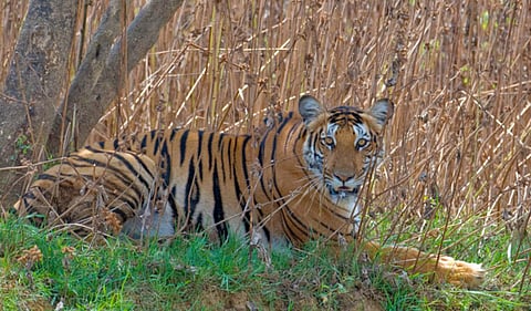 Image used for representational purpose only. (File photo| EPS)