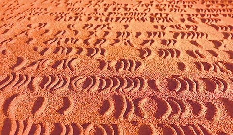 ‘Valley Structures’ by Gunjan Kumar