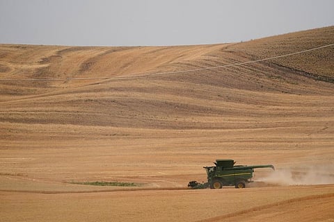 How to prevent food insecurity and skyrocketing prices globally as Russia continues its war in Ukraine will be the marquee topic of discussion at the IMF and World Bank Spring Meeting. (Photo | AP)