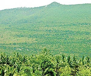 Yelagiri hills