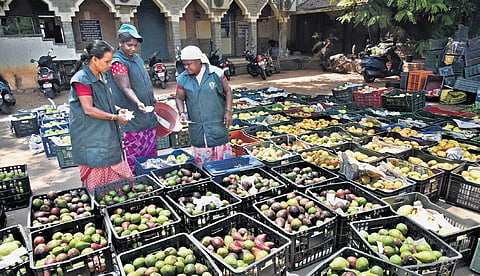 Food safety department officials seized 7,500kg of artificially ripened mangoes in just one week in April | p jawahar
