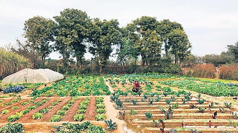 Image used for representational purpose only. (File Photo)
