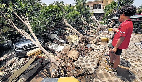 Trees uprooted after the boundary wall of a society collapsed in strong wind and heavy rain in Gurugram. (Photo| PTI)