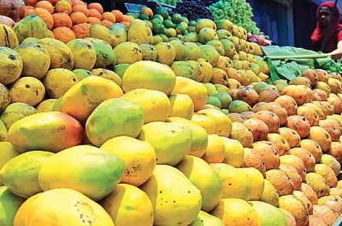 Mangoes (Photo | B P Deepu, EPS)