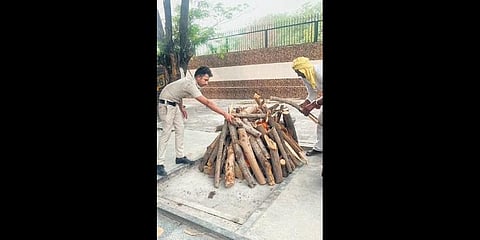 Family holds Geeta Devi’s last rites at Sultanpuri cremation ground | Express