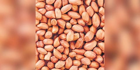 Vying for vitamins