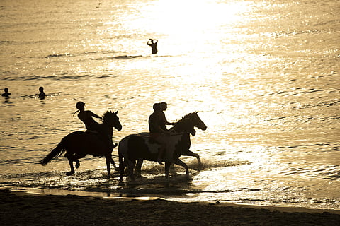 A dangerous heatwave scorched Western Europe. ( Photo | AP )