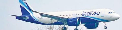 Indigo airlines for representational purposes.
