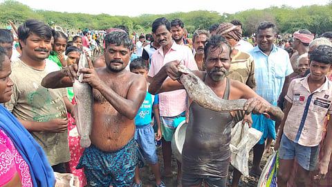 People from as many as 10 villages participated in the festival at the big lake at Esanai in Perambalur. (Photo| EPS)