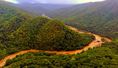A stretch of the Western Ghats. (Photo | D Hemanth, EPS)