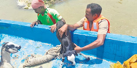 Woman dies after boat capsizes in Tamil Nadu's Kollidam river