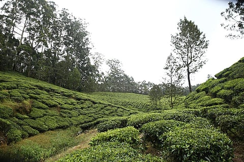 Image used for representational purpose only.