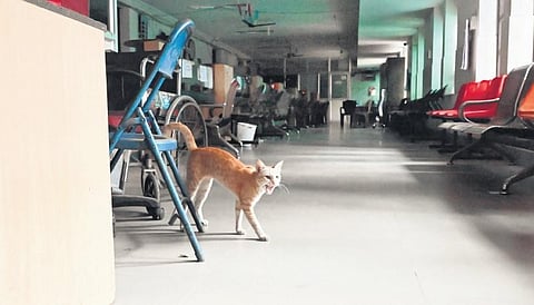 File pic of a vacant Thiruvananthapuram corporation office during the recent two-day general strike | Vincent Pulickal