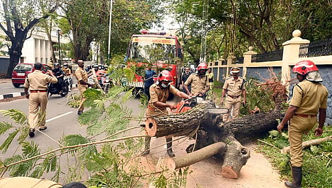 Fire force personnel cutting branches of the tree that uprooted and fell on a moving car near Raj Bhavan in the state capital on Saturday. (Photo | Vincent Pulickal)