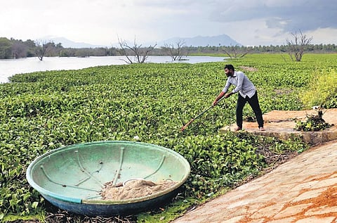 Manikandan aims to document 1,200 ponds in Coimbatore and put them in public domain | S Senbagapandiyan