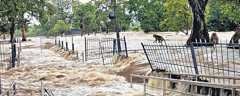 Southwest monsoon claims one life, 29 houses in Tamil Nadu, says minister