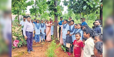 Mahua trees provide livelihood to over 5,000 people living in half-a-dozen villages in the Tundi block of Dhanbad | Express
