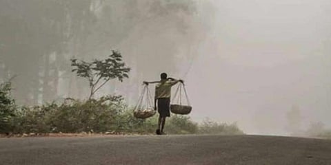 Dense fog engulfs Lambasingi as temperature continues to plummet in ASR district | Express