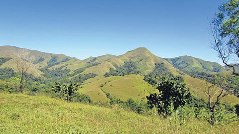 A view of the Western Ghats - Express Photo by G Veeresh