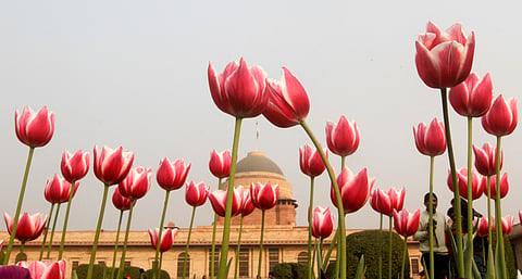Mughal Gardens of the president house in New Delhi. (File | EPS)