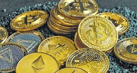 CoinSwitch releases proof of reserves; holds Rs 1,000 crore user assets