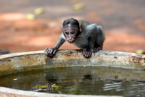 Image used for representational purposes only. (File Photo | EPS)