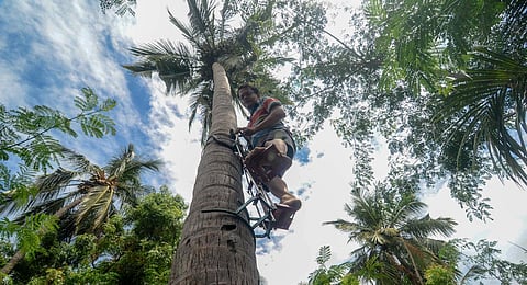 Image used for representational purpose. (File | V Karthikalagu)