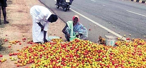 Rangaswamy throws tomatoes on the road in front of Chikkammanahalli tomato market of Challakere in Chitradurga on Wednesday | Express