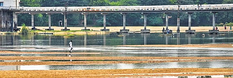 The condition of river Cauvery in Tiruchy on Thursday | M K Ashok Kumar