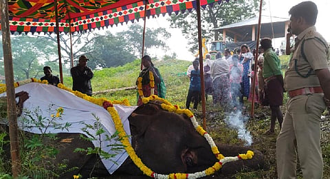 Kumki elephant Moorthy being laid to rest at at Theppakadu Elephant Camp (Prasad G, Forest Range Officer)