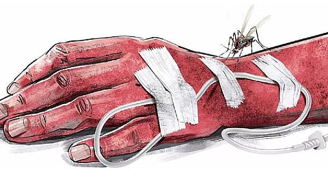 (Express Illustration)