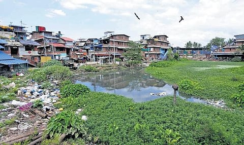 A view of Karimadom pond and the colony that rose around it