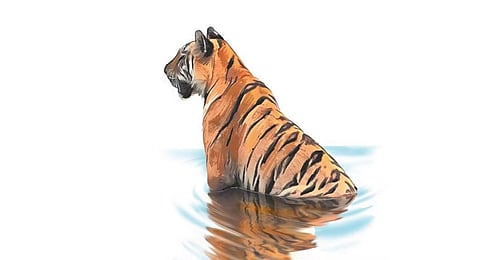 Get over wildlife myths