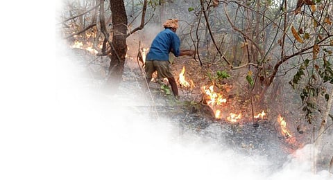 Wildfire season approaching. Act early to cut loss, says expert