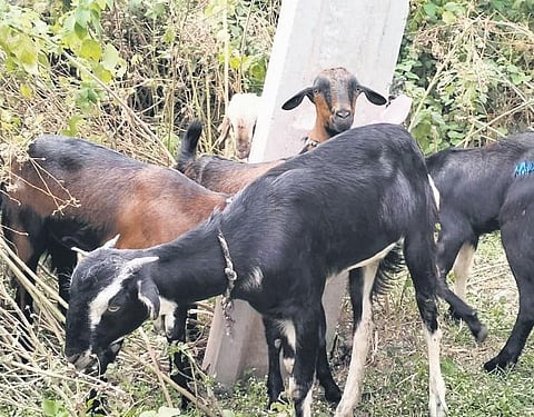 Image used for representational purposes.
