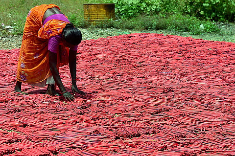 Image used for representational purpose only. (Photo | PTI)