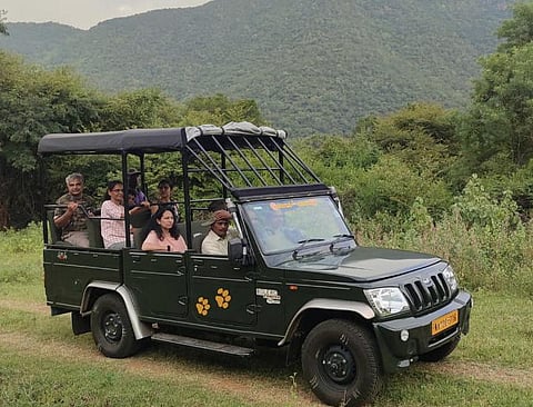 Tourists take a safari ride near Male Mahadeshwara Hills.
Representative image