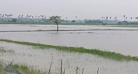 Channels are meant to drain excess water from fields during heavy rain | Express