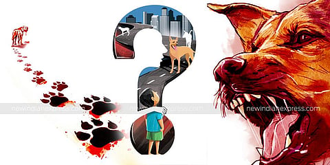 Image for representational purpose only. (Express Illustration)