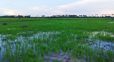 Image used for representational purpose only. (File Photo)