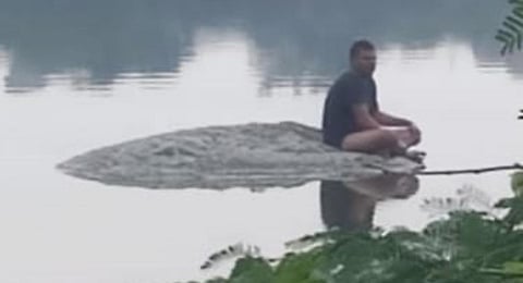 Fleeing thief finds rocky refuge in pond