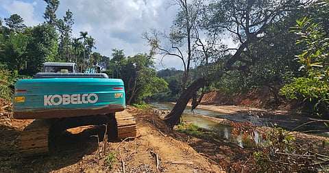 Nearly 100 trees have been marked in the Hattiholey region to prevent landslides