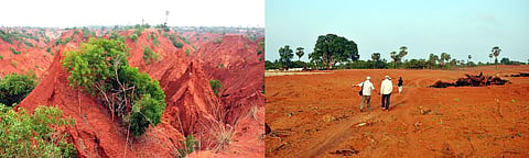 The felled trees and flattened lands (R) at Erra Matti Dibbalu (Red Sand Dunes) situated in Vishakhapatnam that is worrying conservationists. (EPS)