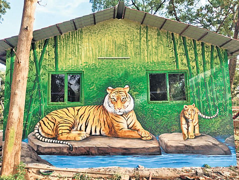 Vana Vihari eco-tourism project