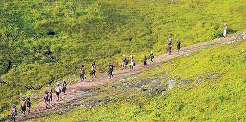 Pilgrims trekking through Sathram-Pulmedu-Sabarimala forest route | Shaji Vettipuram