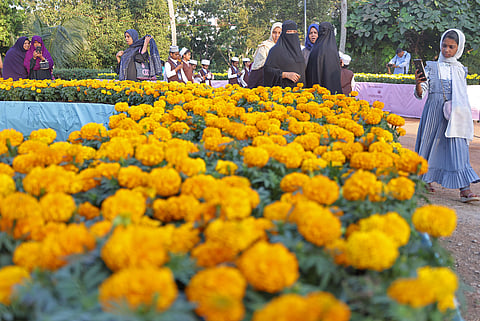 Vasantholsavam in Kanakakunnu Palace has attracted scores of people where flowering plants and foliage have been put on display.